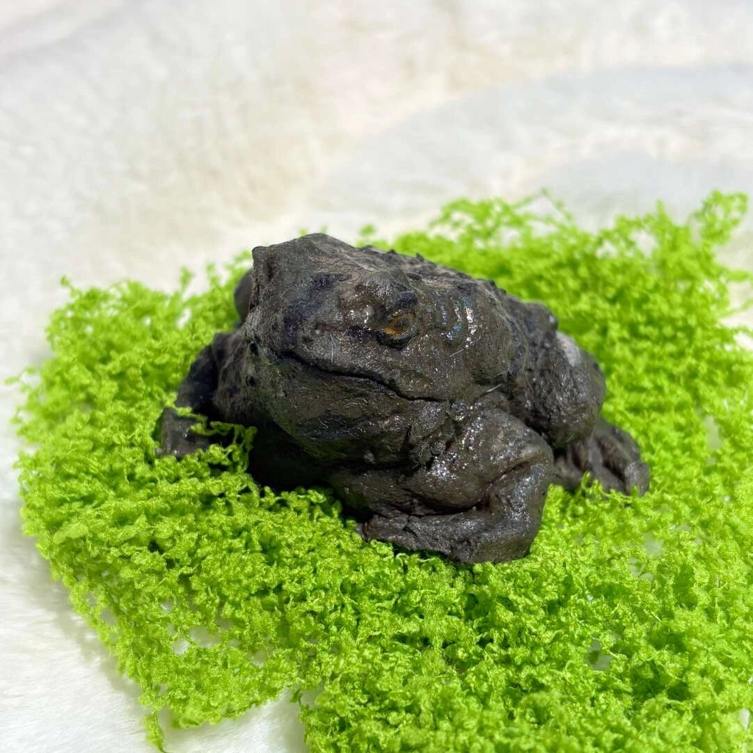 The Toad – Hyper-Realistic Handmade Stress Relief Toy