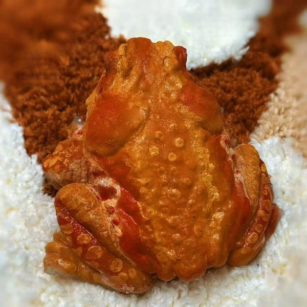 The Toad – Hyper-Realistic Handmade Stress Relief Toy