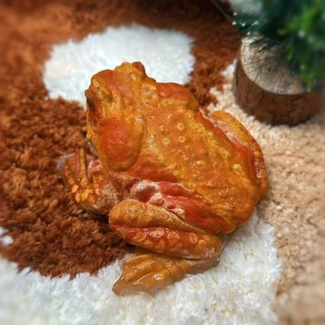 The Toad – Hyper-Realistic Handmade Stress Relief Toy