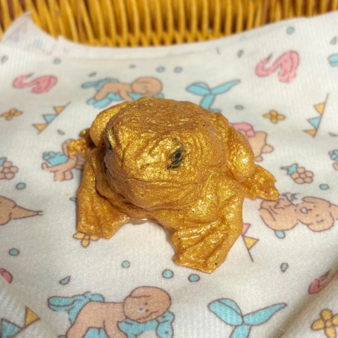 The Toad – Hyper-Realistic Handmade Stress Relief Toy
