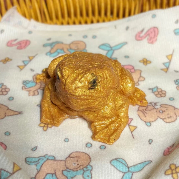 The Toad – Hyper-Realistic Handmade Stress Relief Toy