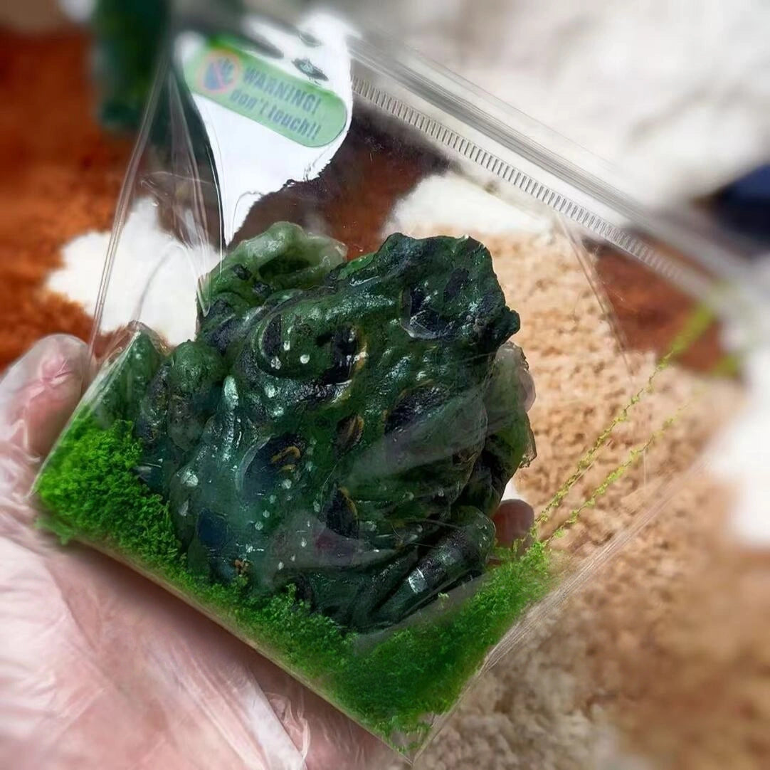 The Toad – Hyper-Realistic Handmade Stress Relief Toy