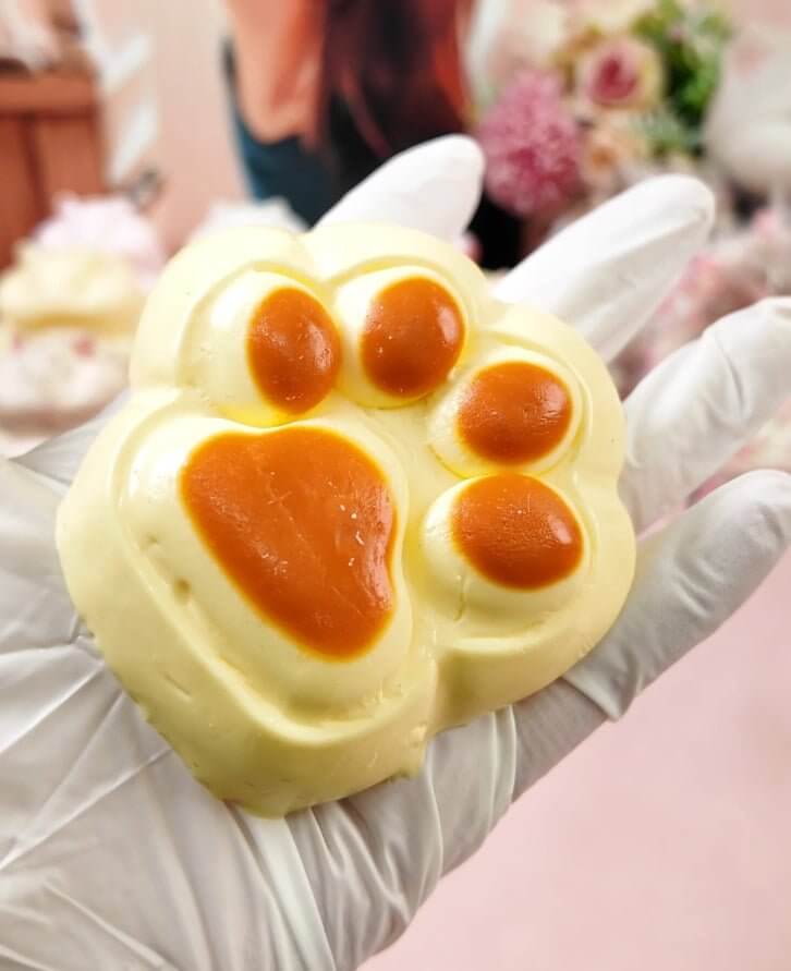 Charcoal Grilled Cat Paw Squishy: Smoky Stress Relief - lovesquishy