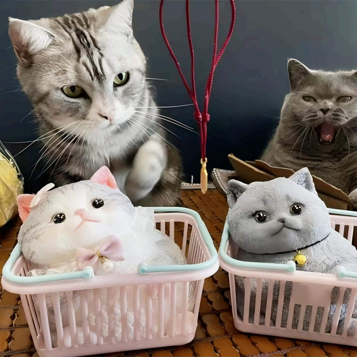 Customizable Chubby Cat - lovesquishy