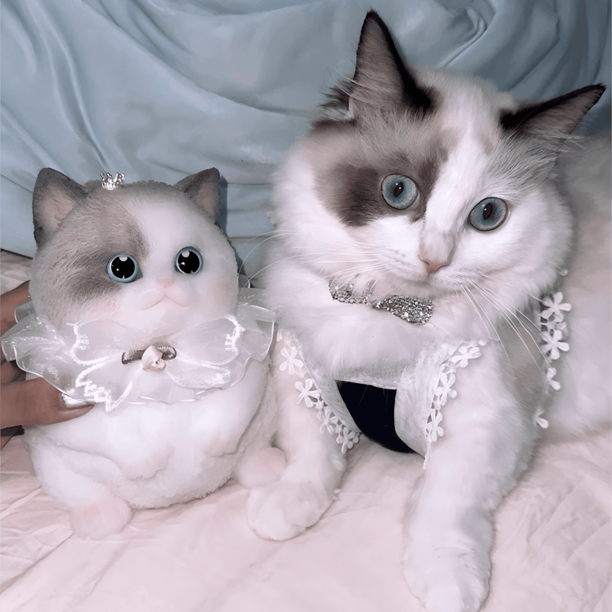 Customizable Chubby Cat - lovesquishy