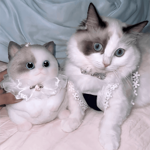 Customizable Chubby Cat - lovesquishy