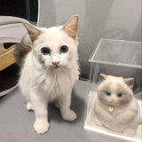 Customizable Chubby Cat - lovesquishy