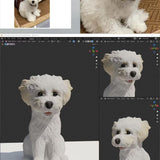 Customizable Pet - lovesquishy