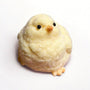 Little Yellow Chicks Handcrafted Silicone Stress Relief Squishy Toy - lovesquishy