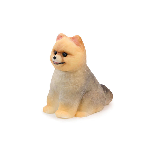 Pomeranian Shunsuke Handcrafted Silicone Stress Relief Squishy Toy - lovesquishy