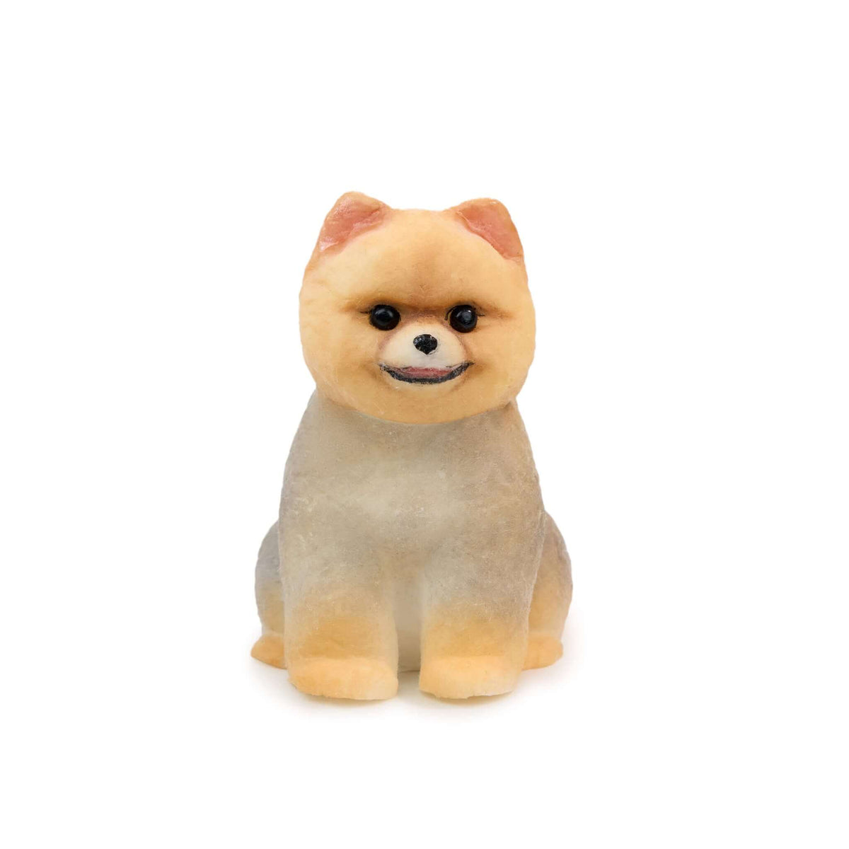 Pomeranian Shunsuke Handcrafted Silicone Stress Relief Squishy Toy - lovesquishy