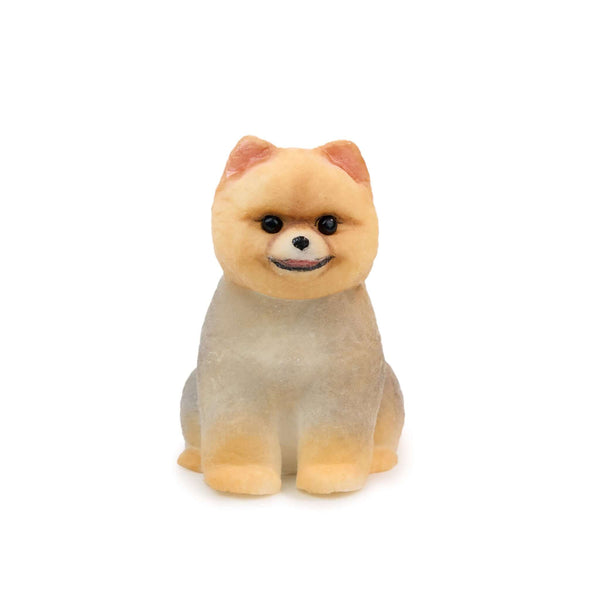 Pomeranian Shunsuke Handcrafted Silicone Stress Relief Squishy Toy - lovesquishy