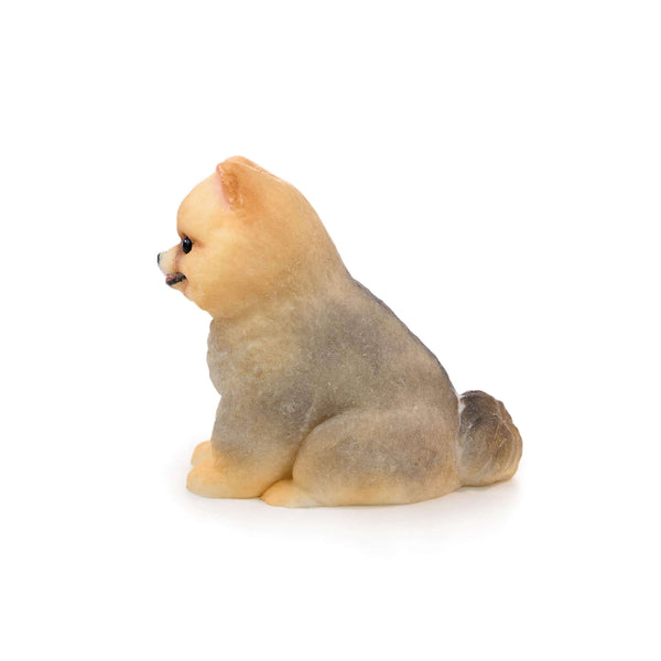 Pomeranian Shunsuke Handcrafted Silicone Stress Relief Squishy Toy - lovesquishy