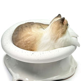 Ragdoll Cat Handcrafted Silicone Stress Relief Squishy Toy - lovesquishy