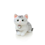 Short - Haired Cat Handcrafted Silicone Stress Relief Squishy Toy - lovesquishy