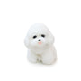 Teddy Handcrafted Silicone Stress Relief Squishy Toy - lovesquishy