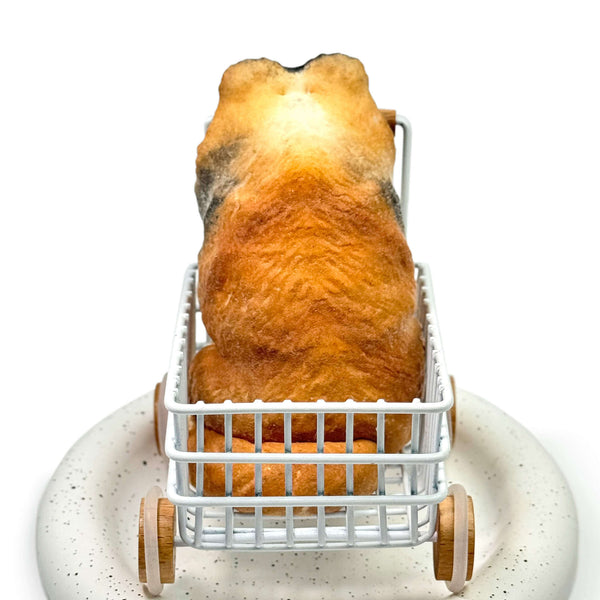 The Sheltie Handcrafted Silicone Stress Relief Squishy Toy - lovesquishy