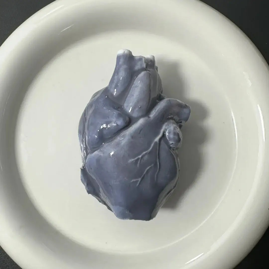 Handmade Halloween Realistic Bleeding Heart & Brain Silicone Stress Relief Toy