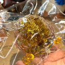  Fortune Brain