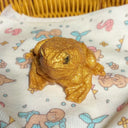  Golden Toad – Small