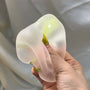 [CHIBOKI]Handmade Crystal Fruit Mochi Fidget Ball – Extra Soft