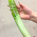  Melon Candy Duo Squishy