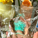  Mint Dream Star Bottle