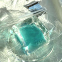  Mint Mambo