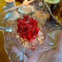  Squishy Plasma Brain