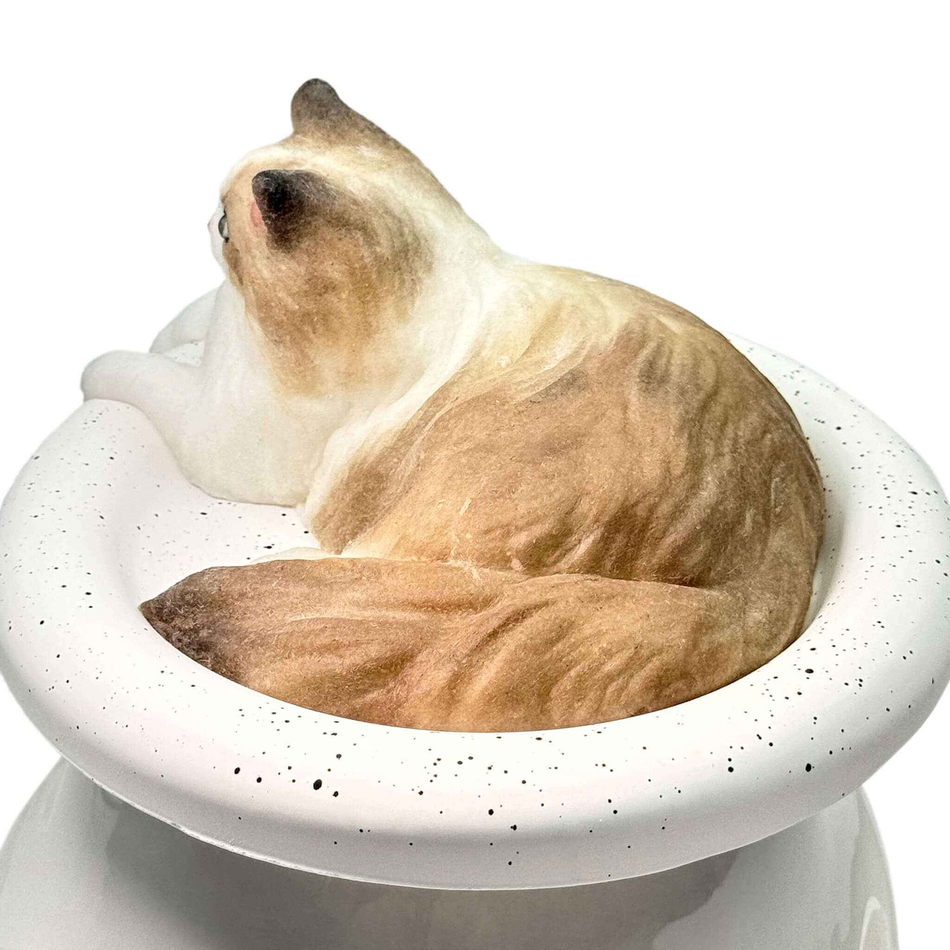 Ragdoll Cat Squishy: Handcrafted Silicone Stress Relief