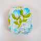  Blue tulip